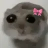 sadhamster sadhamster