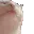 Catvibing Catvibing