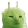 glorp