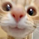 smilecat