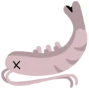 dead_shrimp