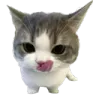 hehe