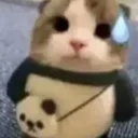 ermy