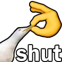 shut_duck