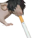 Untitled15_20250506153026