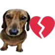 brokendog brokendog