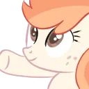 1_