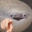 feeshpoint feeshpoint
