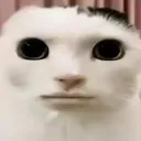 emoji_32
