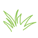 grass