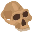 StoneAgeSkull StoneAgeSkull
