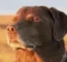 itsover