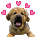 KayaLove