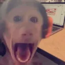 AHHH
