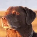 emoji_3