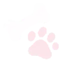 002_paw