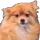 cooldoggo
