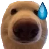 97dognervy