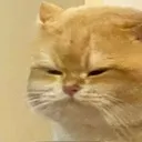 fatangy