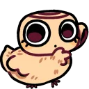 shellychicken shellychicken
