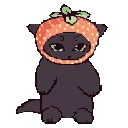 strawberrycat_black