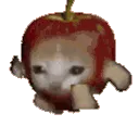 1343catapplerunning