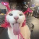 __