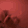 dogJAM