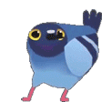 PigeonPls