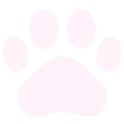 paw24