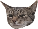 Shady Discord emoji