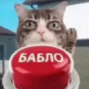 BabloCat