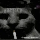 catsmoke