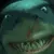 sniff
