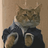 CA_catsuit