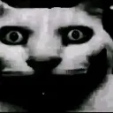 cursed