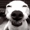he_he