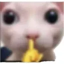 Shhhh Shhhh