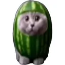 staremeloncar staremeloncar