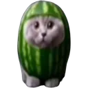 staremeloncar2 staremeloncar2