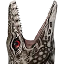 Gerald_Jaws Gerald_Jaws