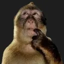 monkeythink