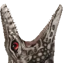NomNomNom