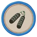 Badge_Endurance Badge_Endurance