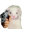 ferretgun ferretgun