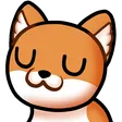 raysU