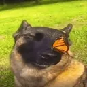 peacefulblud