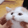 squish Discord emoji