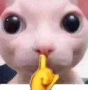 shh
