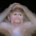 monkeydespair